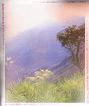 seen3